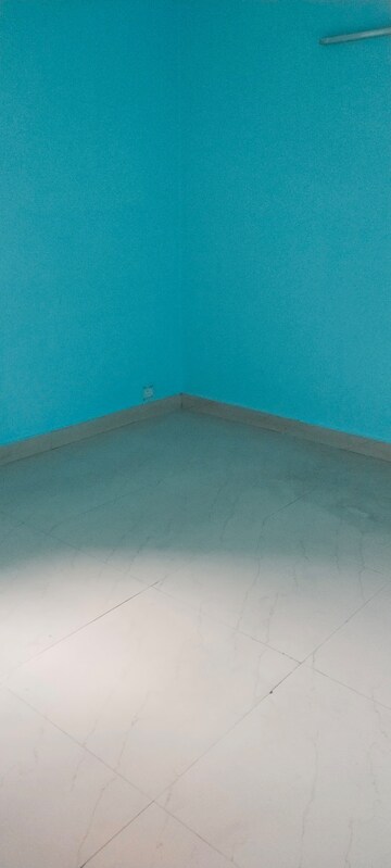 Swimming Pool in 1 RK Independent House at RWA Apartments Sector 40, Sector 40 – for Rent