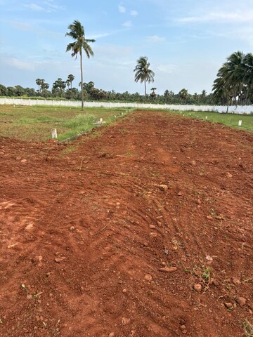 Plot Area in  Plot at Bhogapuram – for Sale