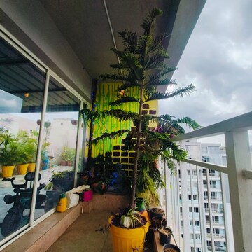3 BHK Apartment – Exterior View View at SJR Blue Waters, Off Sarjapur Road - for Rent
