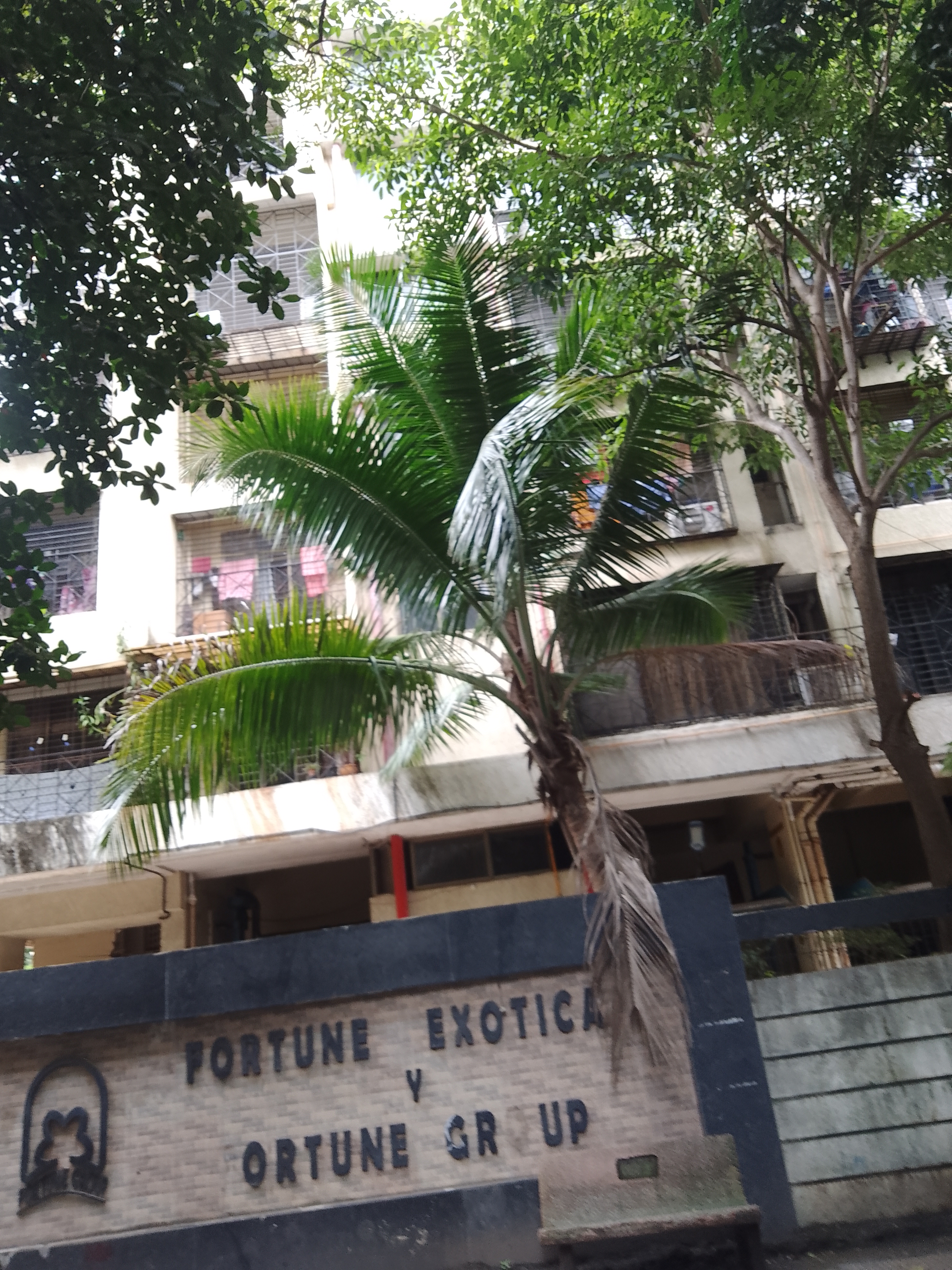 3 BHK Apartment For Rent in Fortune Exotica