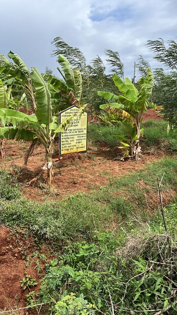  Land – Exterior View View at Hanumanth Nagar - for Sale