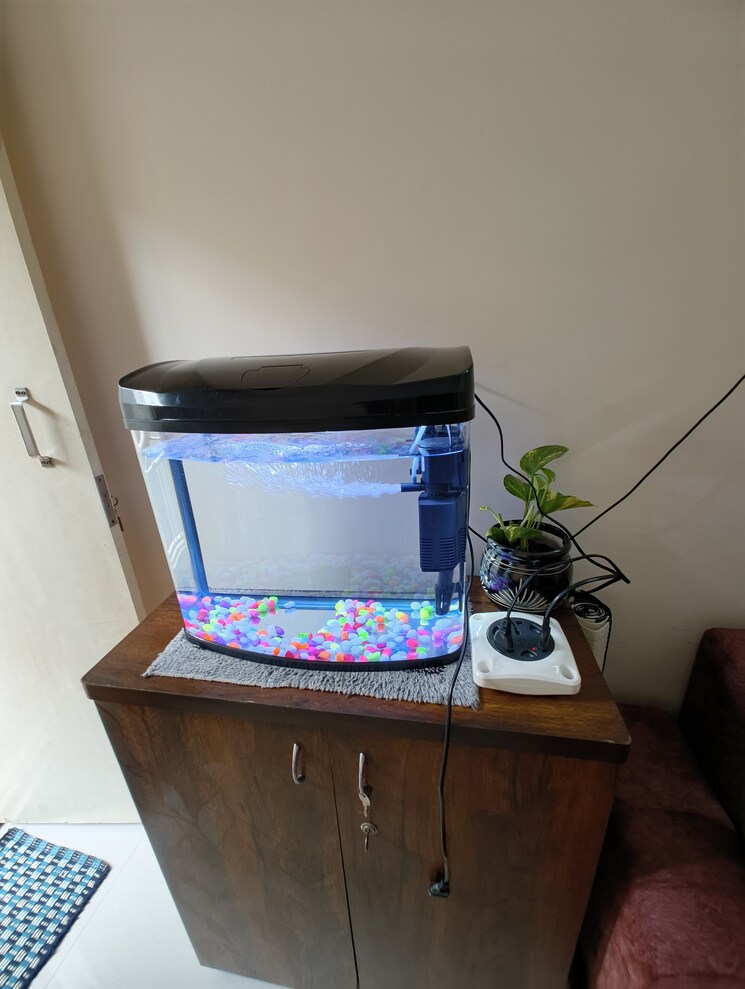 undefined, indiranagar 3 Bedroom 1500 Sq.Ft. Independent House In Indiranagar Bangalore 9053052