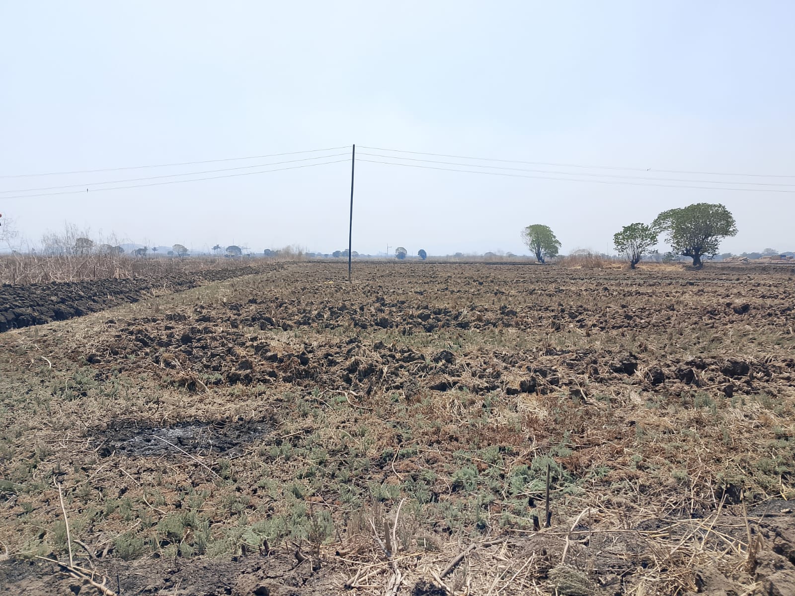 Land For Sale in Commercial Plot 