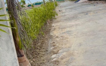 Plot For Sale in Ashoka Niketan, Jewar