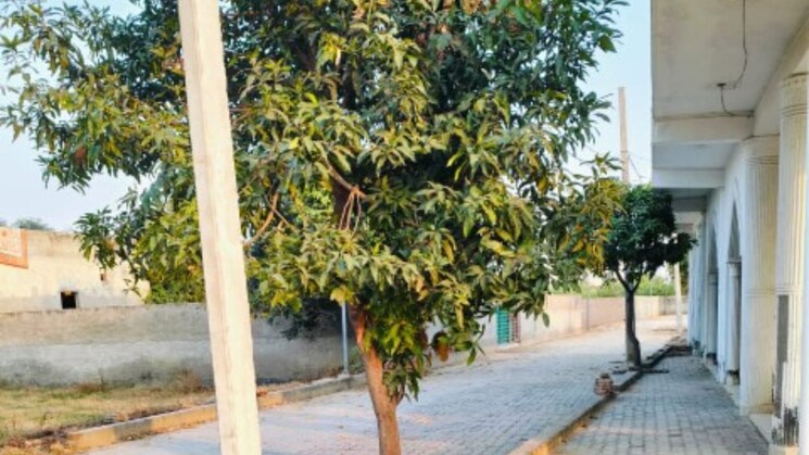 Garden, noida-world-one  260 Sq.Yd. Plot In Sector 90 Noida 9053257