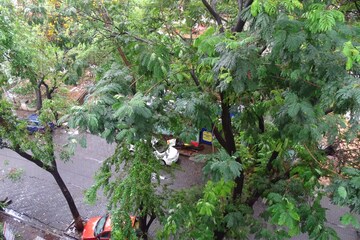 2 BHK Apartment – Garden View at Kandarpada - for Rent