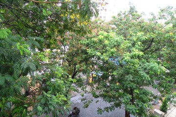 2 BHK Apartment – Garden View at Kandarpada - for Rent