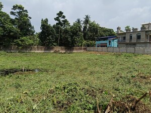  Plot For Sale in Biswaspara