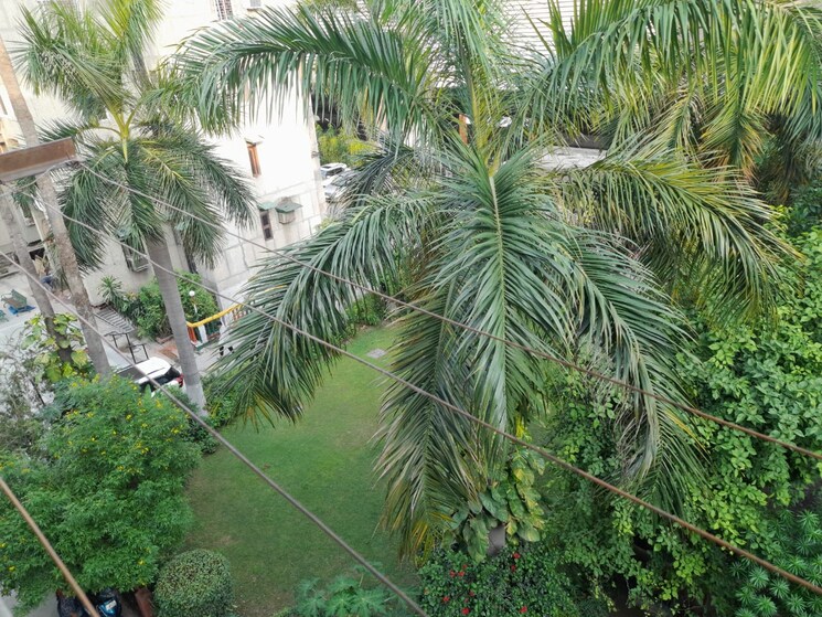 Garden, ip extension 2 Bedroom 1050 Sq.Ft. Apartment In Ip Extension Delhi 9053478