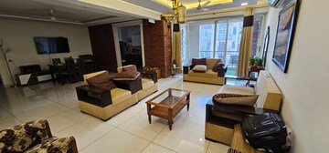 3 BHK Apartment For Rent in Maya Garden City, Lohgarh