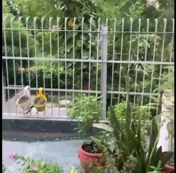 Balcony in 4 BHK Builder Floor at Saket – for Rent