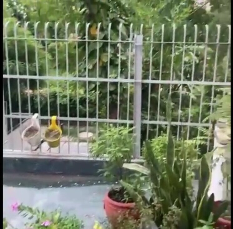 Balcony, saket 4 Bedroom 2100 Sq.Ft. Builder Floor In Saket Delhi 9053556