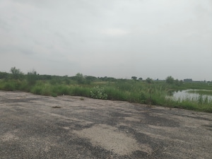 Plot Area in  Plot at Jattari – for Sale