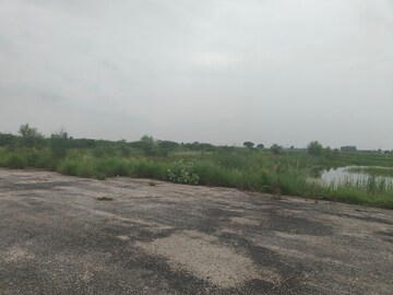 Plot Area in  Plot at Jattari – for Sale