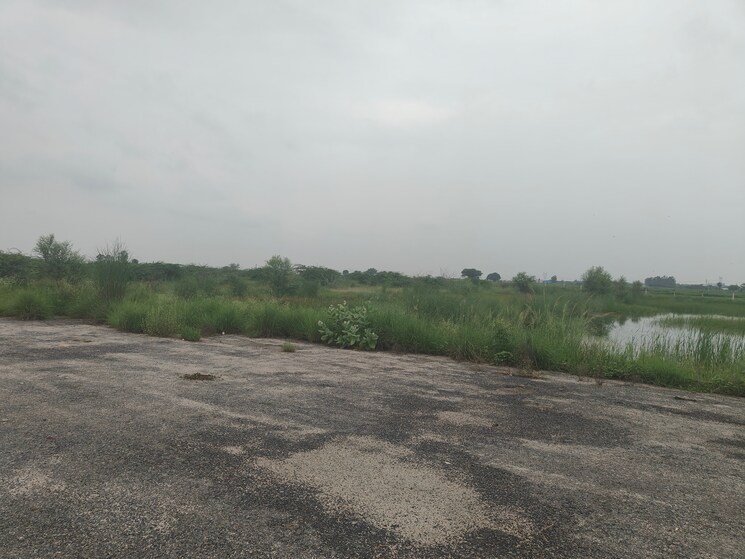 undefined, jattari  100 Sq.Yd. Plot In Jattari Aligarh 9053890
