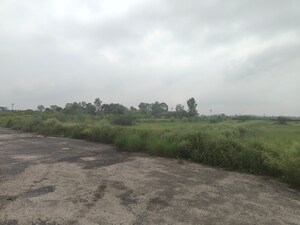  Plot For Sale in Jattari