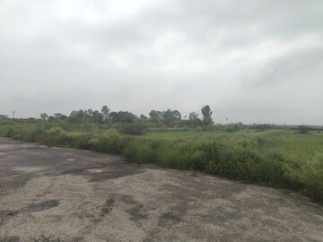  Plot For Sale in Jattari
