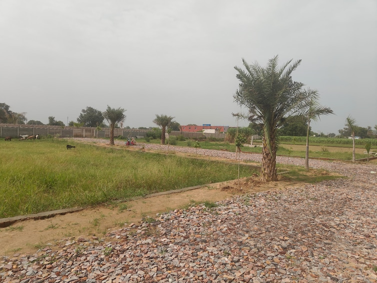 Cover Image, jattari  220 Sq.Yd. Plot In Jattari Aligarh 9053906