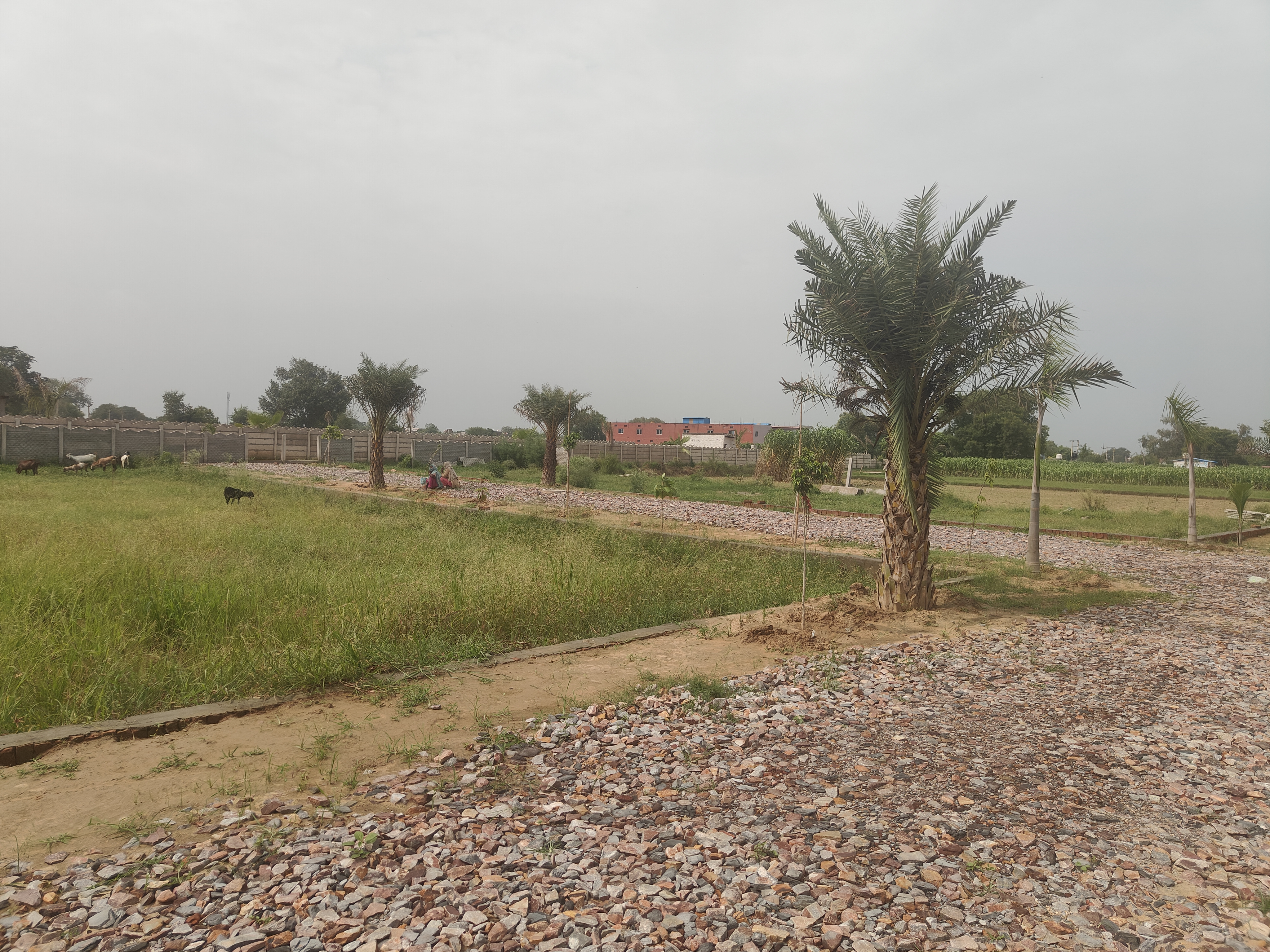 Plot For Sale in Atharv City 