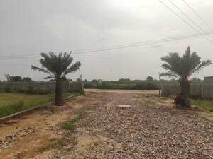 Plot Area in  Plot at Jattari – for Sale