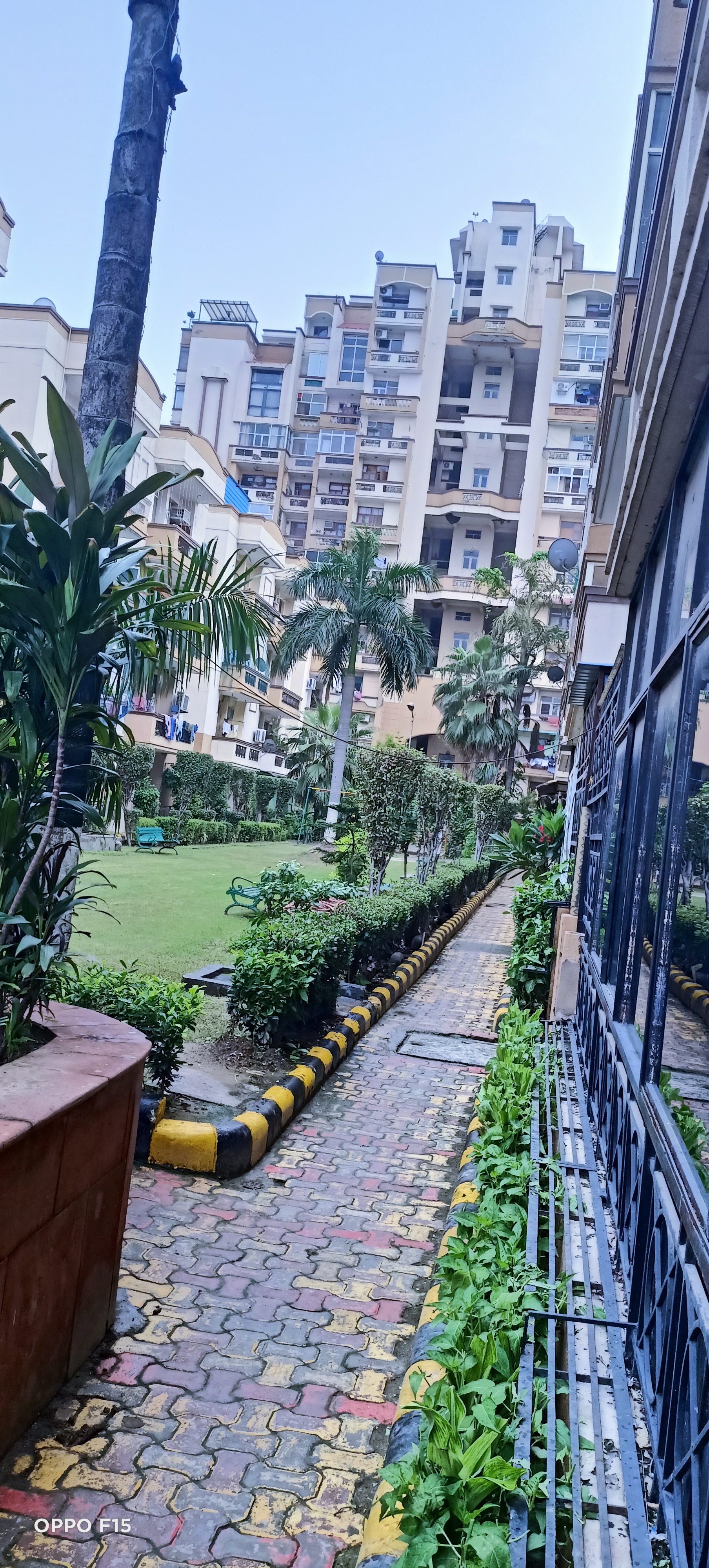 2 BHK Apartment For Rent in Spark Divine