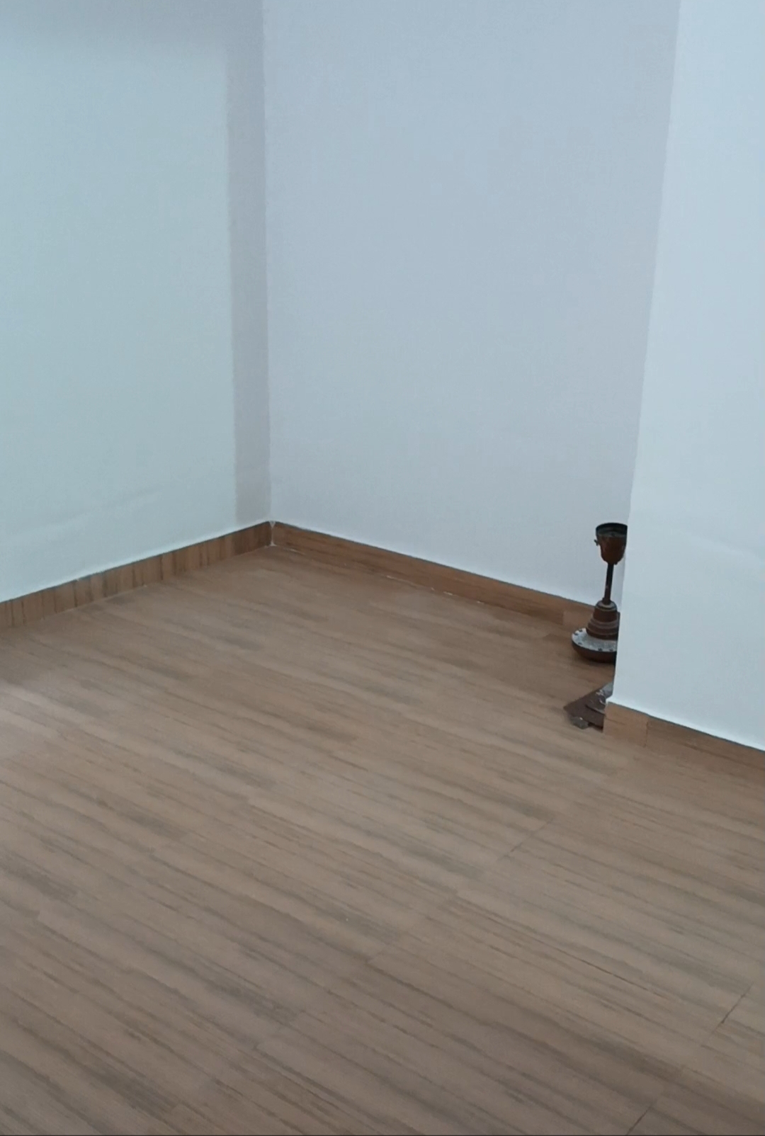 1 BHK 550 Sq.Ft. Apartment in DB Orchid Ozone