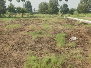  Plot For Sale in Kankipadu