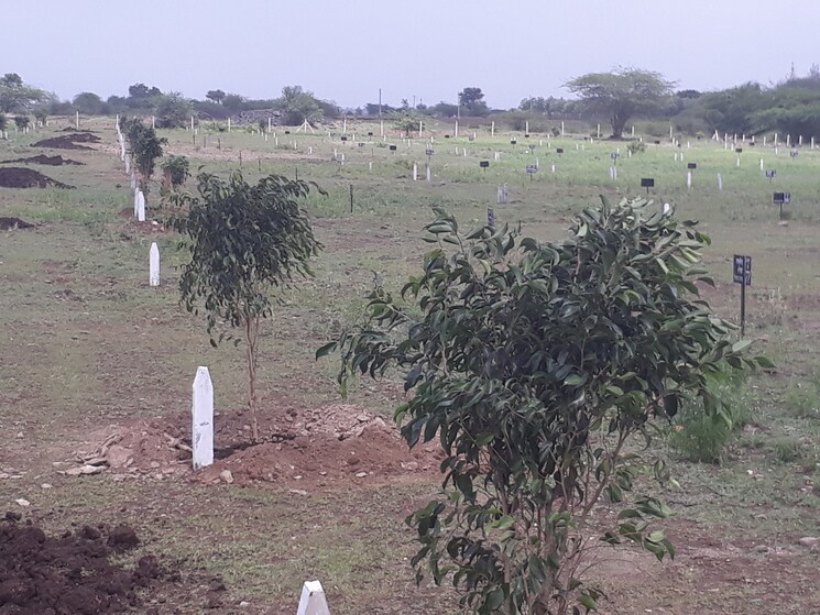 undefined, pansarewadi  6000 Sq.Ft. Plot In Pansarewadi Baramati 9054413