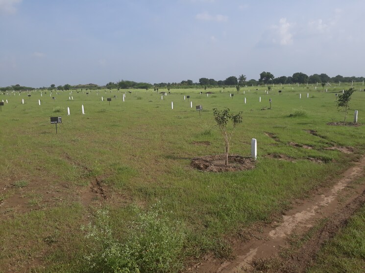 undefined, pansarewadi  6000 Sq.Ft. Plot In Pansarewadi Baramati 9054413