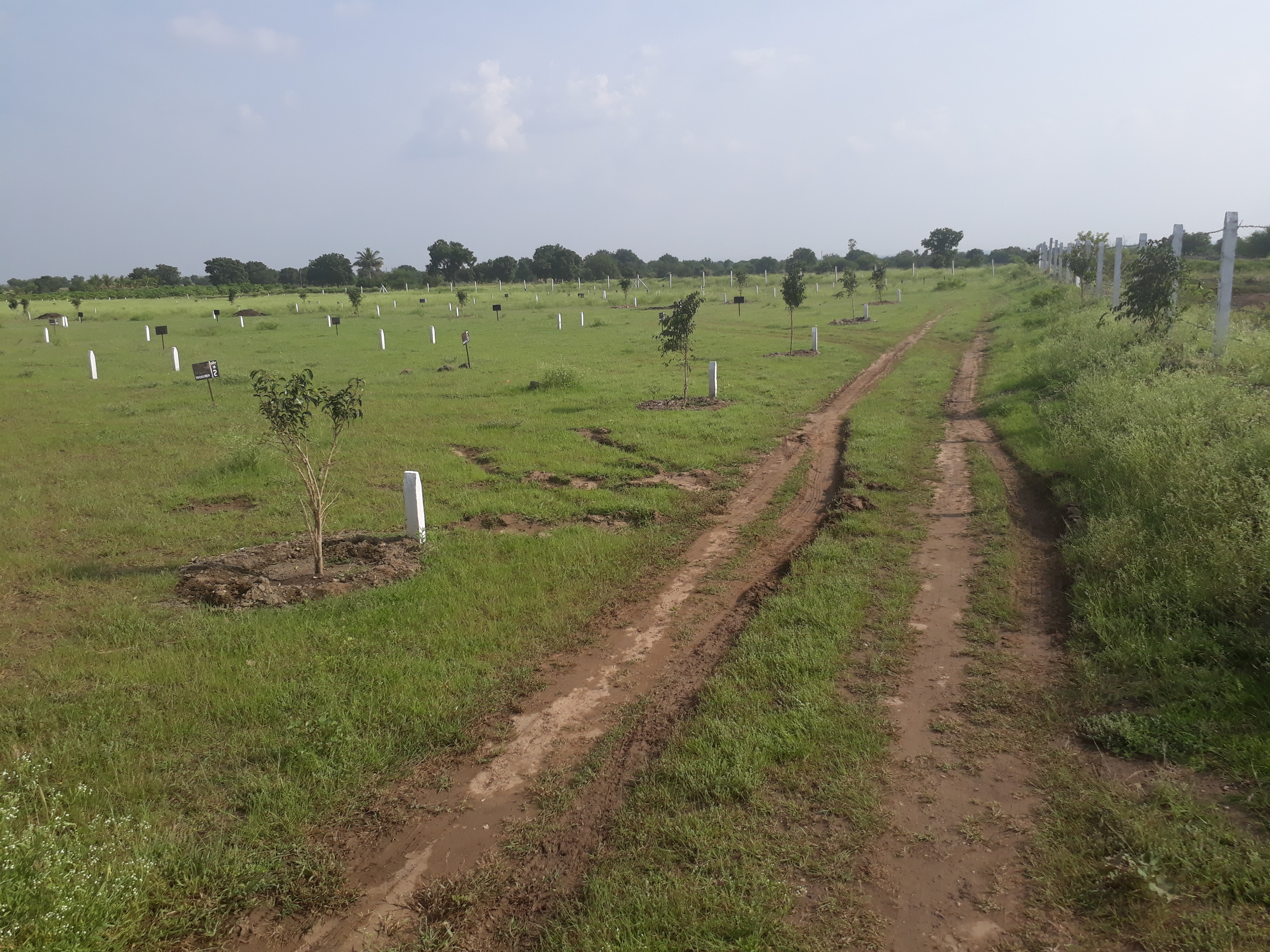 Plot For Sale in Nisarg Park 