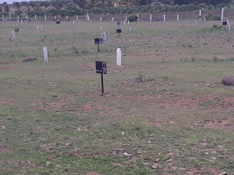 undefined, pansarewadi  6000 Sq.Ft. Plot In Pansarewadi Baramati 9054413