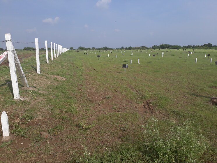 undefined, pansarewadi  6000 Sq.Ft. Plot In Pansarewadi Baramati 9054413