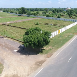  Plot For Sale in Gautam Buddha University
