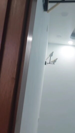 Building Lobby in 3 BHK Builder Floor at Malviya Nagar – for Sale