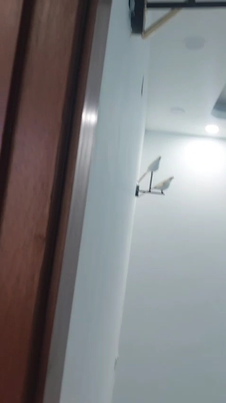 undefined, malviya nagar 3 Bedroom 1800 Sq.Ft. Builder Floor In Malviya Nagar Delhi 9054608