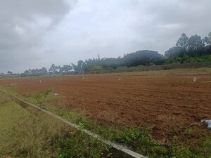 Plot Area in 2 BHK Independent House at Bathlapalli – for Sale