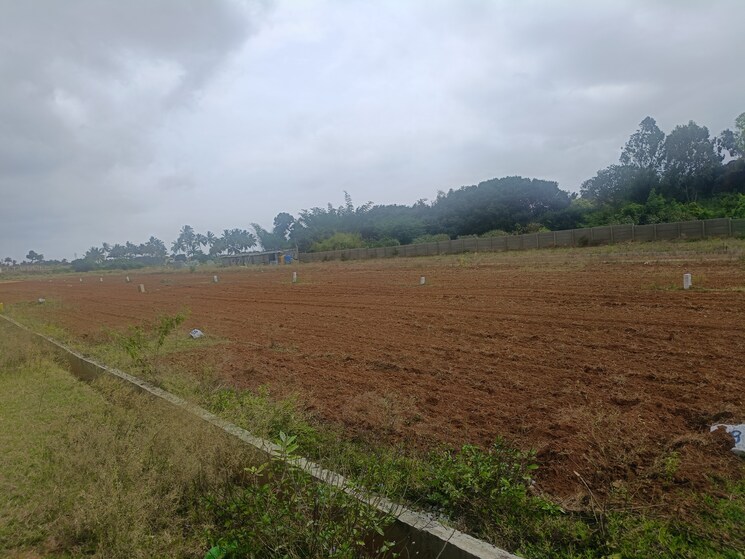 undefined, bathlapalli 2 Bedroom 1200 Sq.Ft. Independent House In Bathlapalli Hosur 9054718