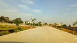 1248 Sq.Ft. Plot in Royal Avenue 