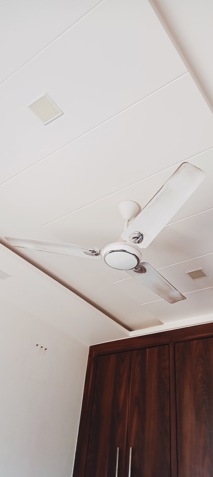 undefined, sector 14 2 Bedroom 110 Sq.Yd. Builder Floor In Sector 14 Hisar 9055176