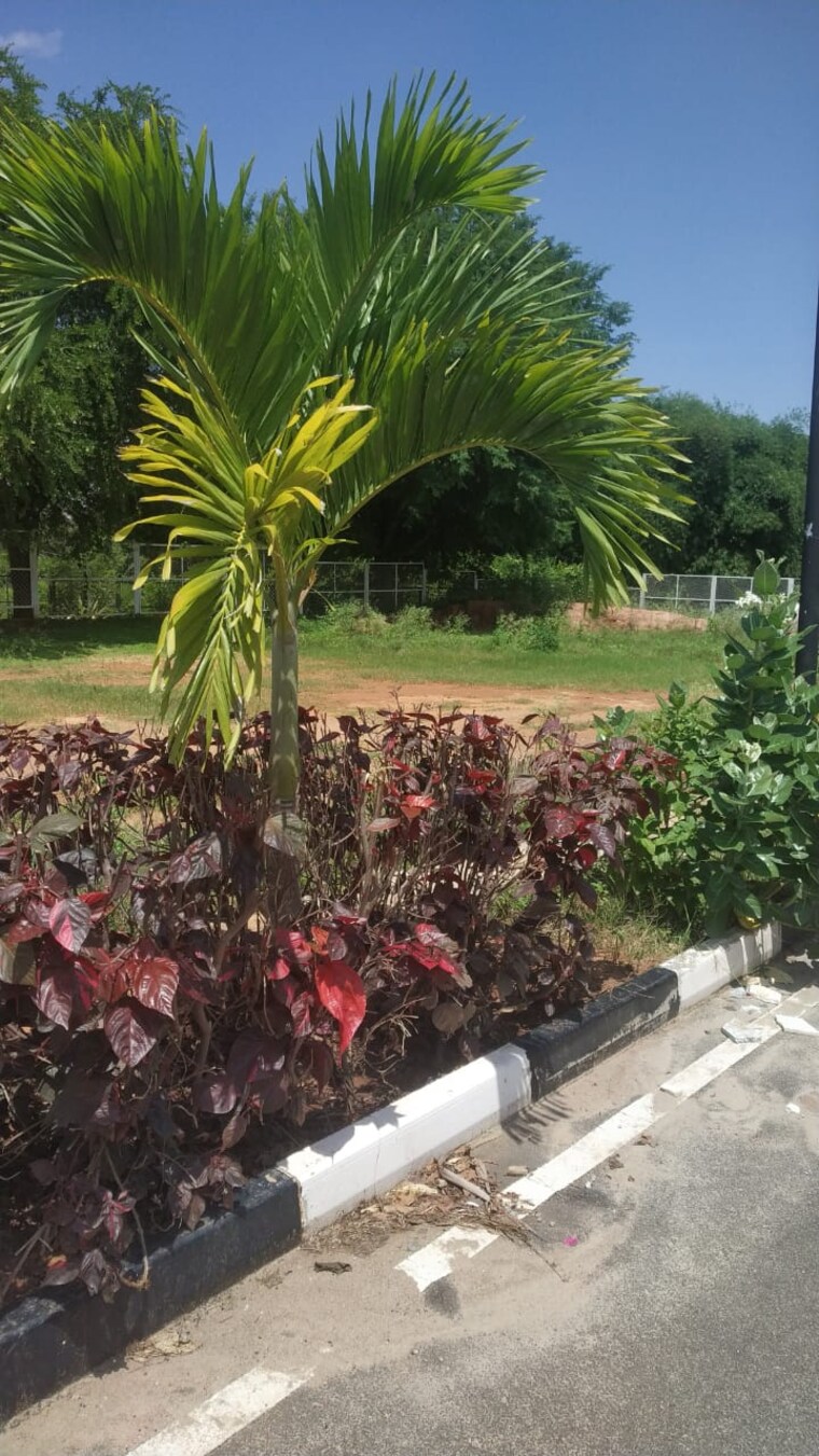 Garden, jr-habitat  1500 Sq.Yd. Plot In Chandapura Bangalore 9055183