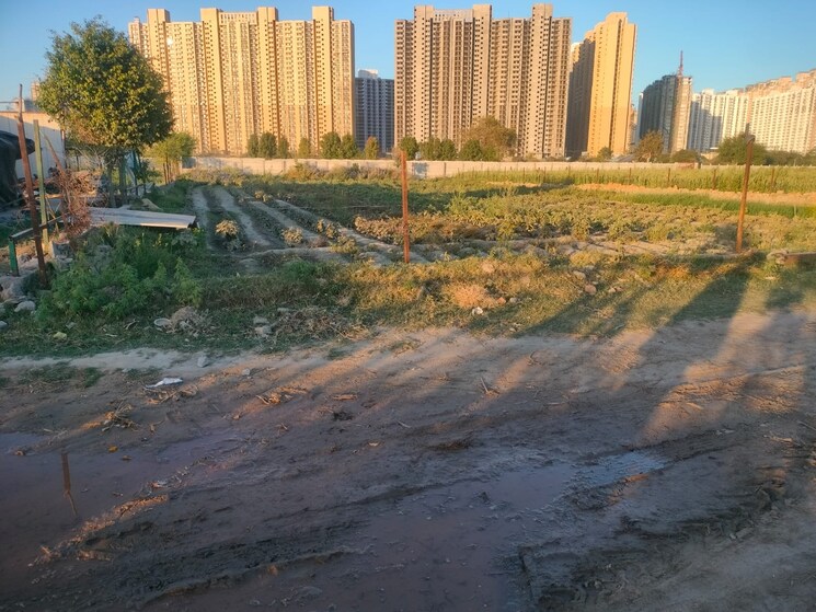 undefined, sector 27 yamuna expressway  1000 Sq.Yd. Plot In Sector 27 Yamuna Expressway Greater Noida 9055199