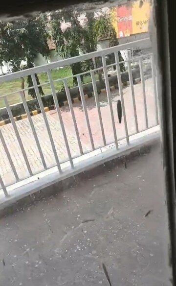 Balcony in 3 BHK Builder Floor at Old Rajinder Nagar – for Rent
