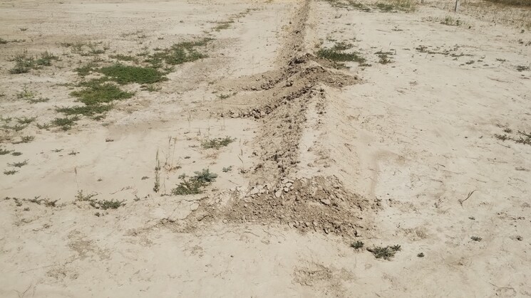 undefined, bamnikhera  127 Sq.Yd. Plot In Bamnikhera Palwal 9055765