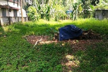 Plot Area in  Plot at Olarikara – for Sale