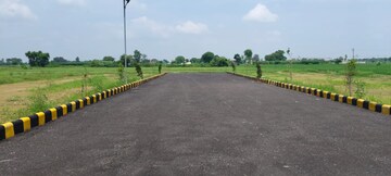 Plot Area in  Plot at Tappal – for Sale