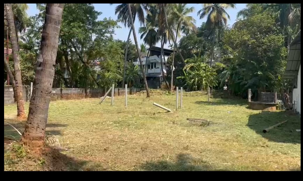 Plot For Sale in Ayyanthole