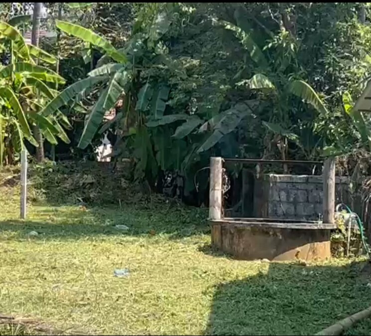 Exterior View, ayyanthole  4356 Sq.Ft. Plot In Ayyanthole Thrissur 9055920