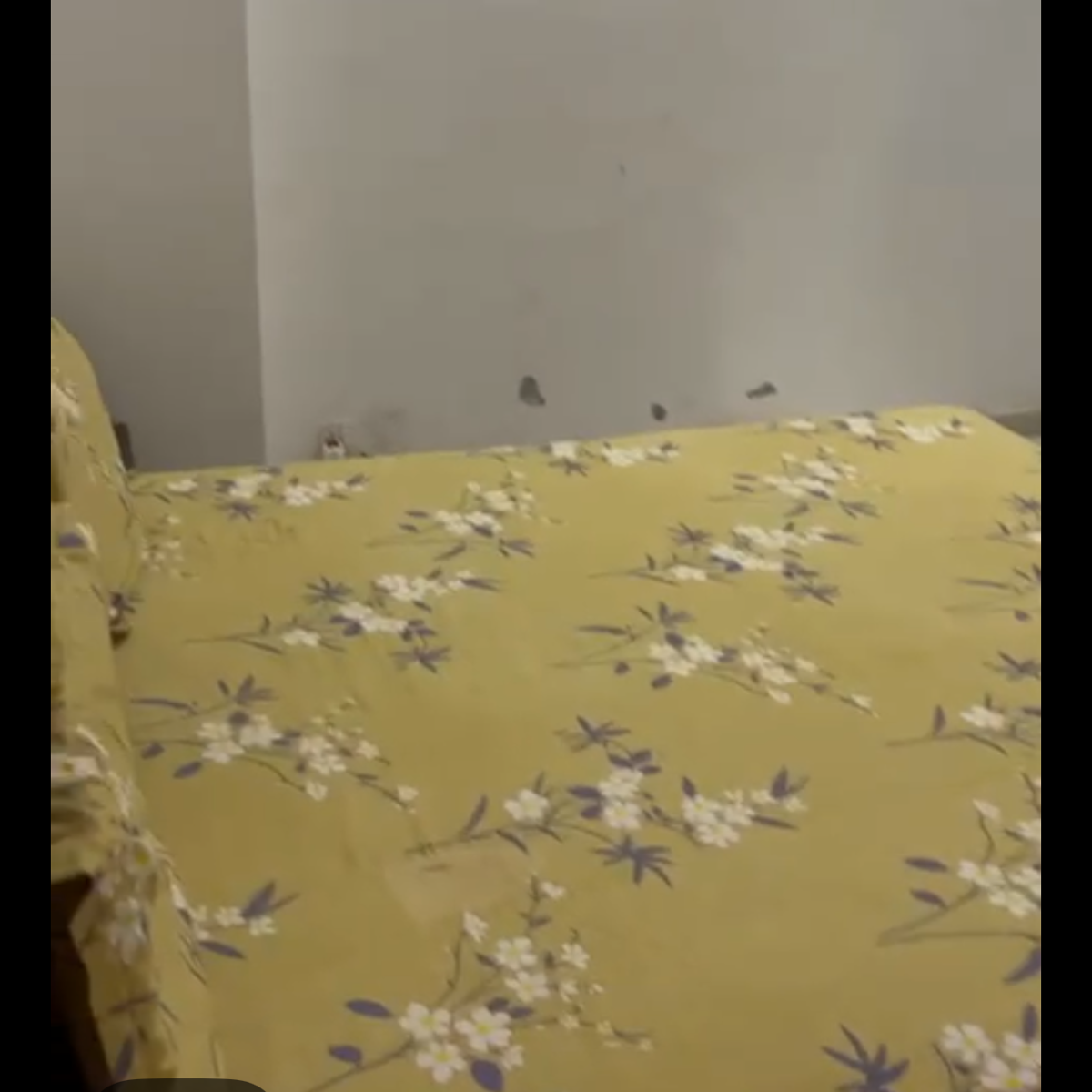 3 BHK + Pooja Room Apartment For Sale in Motiaz Royal Citi