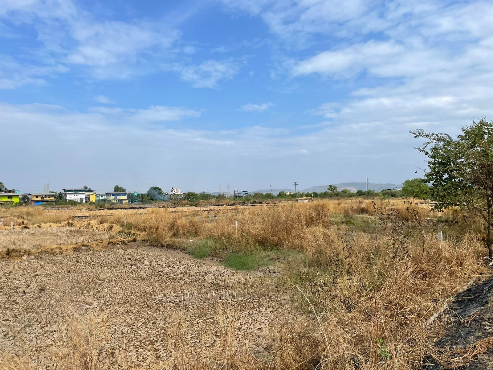 Plot For Sale in Avani Plots
