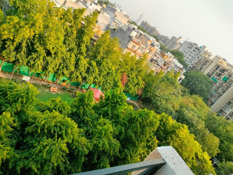 Garden, ansal-sushant-apartments 3 Bedroom 1545 Sq.Ft. Apartment In Sushant Lok I Gurgaon 9056015